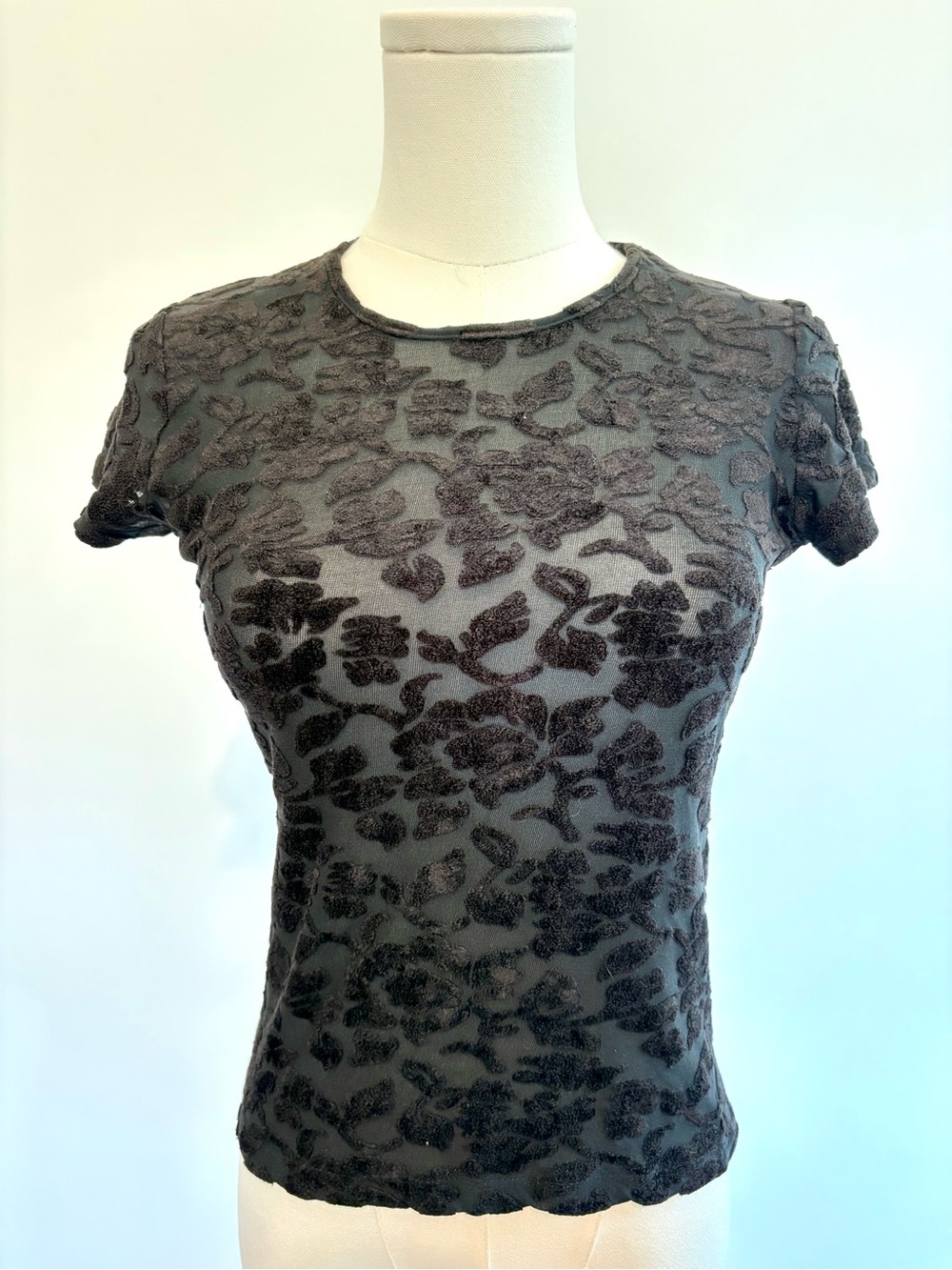 Vintage Hanky Panky Burnout Mesh Velvet Top M Sheer Floral Y2K Fairy Grunge 90s